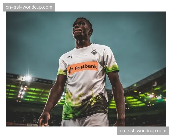 弗格森即将接受脚踝手术,罗马中场本赛季不会复出 弗格森即将接受脚踝手术,罗马中场本赛季不会复出